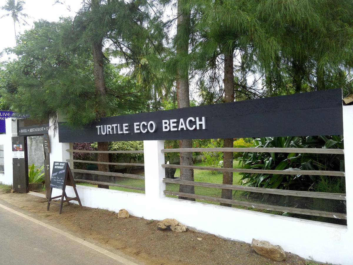 מטרה Turtle Eco Beach מראה חיצוני תמונה